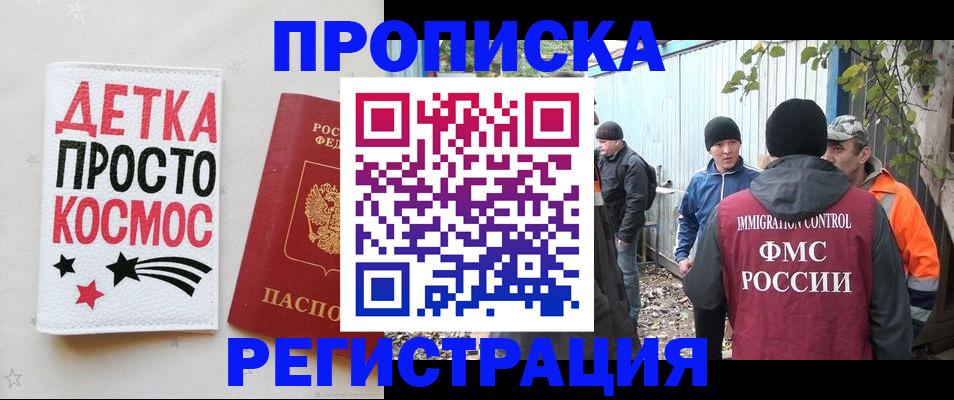 прописка поиск в Алейске